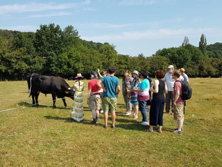 EssBO! - Höfetouren